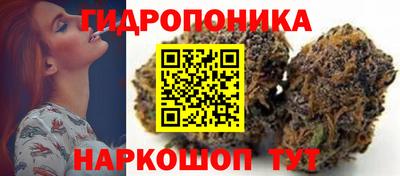 индика Кимры