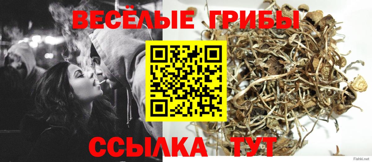 Псилоцибиновые грибы MAGIC MUSHROOMS  Вход с VPN  Галлюциногенные грибы мухоморы  Троицк 